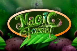 Magic Forest - Slot Caleta Gaming | RTP N/A | MisterTopCasino