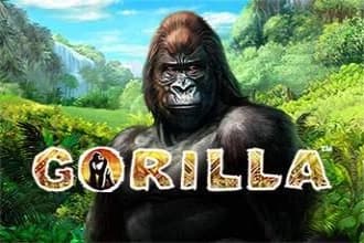 Gorilla - Slot Greentube | RTP 95.09% | MisterTopCasino