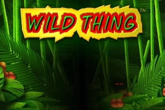 Wild Thing - Slot Greentube | RTP N/A | MisterTopCasino