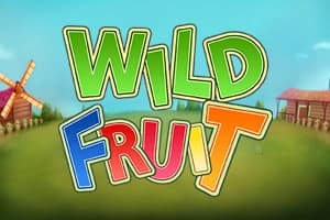 Wild Fruit - Slot Caleta Gaming | RTP N/A | MisterTopCasino