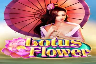 Lotus Flower - Slot Greentube | RTP 95.2% | MisterTopCasino