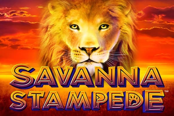 Savanna Stampede - Slot Merkur | RTP N/A | MisterTopCasino