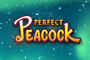 Perfect Peacock Coin Combo - Slot Light & Wonder | RTP N/A | MisterTopCasino