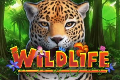 Wildlife - Slot Capecod Gaming | RTP N/A | MisterTopCasino