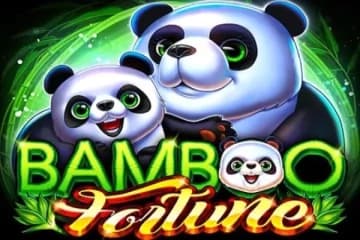 Bamboo Fortune - Slot RubyPlay | RTP N/A | MisterTopCasino