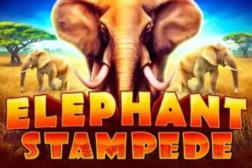 Elephant Stampede - Slot RubyPlay | RTP N/A | MisterTopCasino