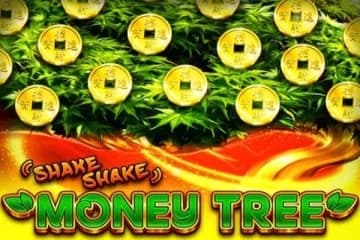Shake Shake Money Tree - Slot RubyPlay | RTP N/A | MisterTopCasino