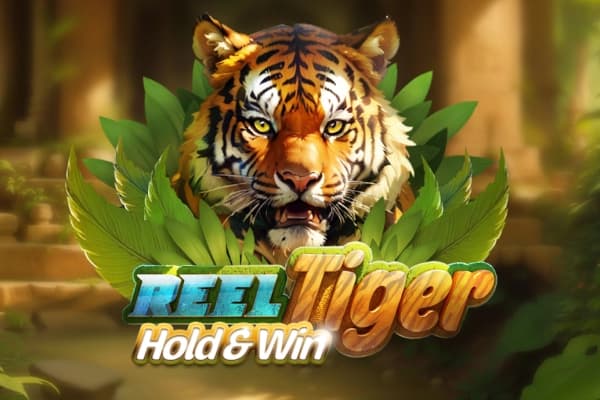 Reel Tiger - Slot Holle Games | RTP 96.02% | MisterTopCasino