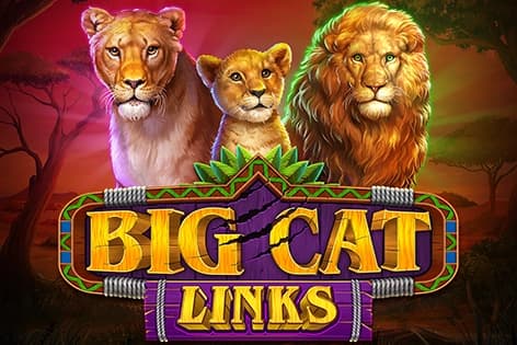 Big Cat Links - Slot RTG | RTP N/A | MisterTopCasino