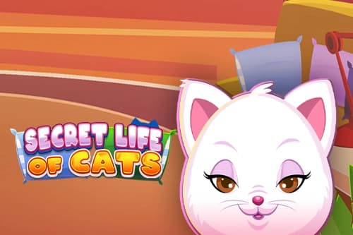 Secret Life of Cats - Slot Arrow's Edge | RTP N/A | MisterTopCasino