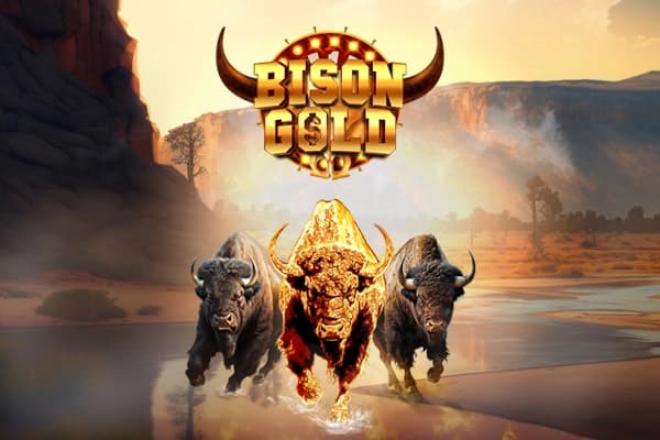 Bison Gold - Slot NetGaming | RTP N/A | MisterTopCasino