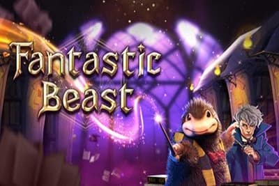 Fantastic Beast - Slot Advantplay | RTP N/A | MisterTopCasino