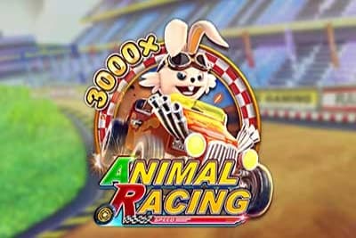 Animal Racing - Slot Fa Chai | RTP N/A | MisterTopCasino