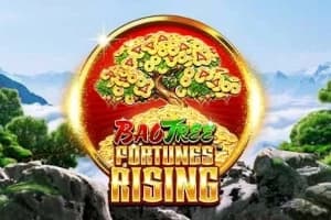 Fortunes Rising - Slot Skywind | RTP N/A | MisterTopCasino