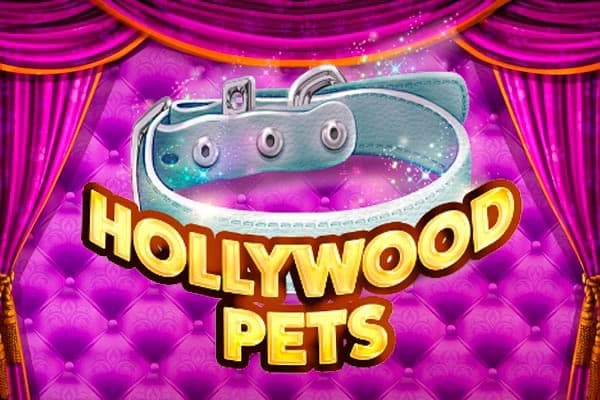 Hollywood Pets - Slot Betixon | RTP N/A | MisterTopCasino