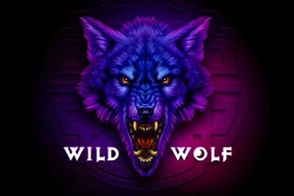 Wild Wolf - Slot Betixon | RTP N/A | MisterTopCasino