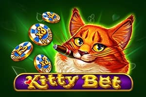 Kitty Bet - Slot Amatic | RTP N/A | MisterTopCasino
