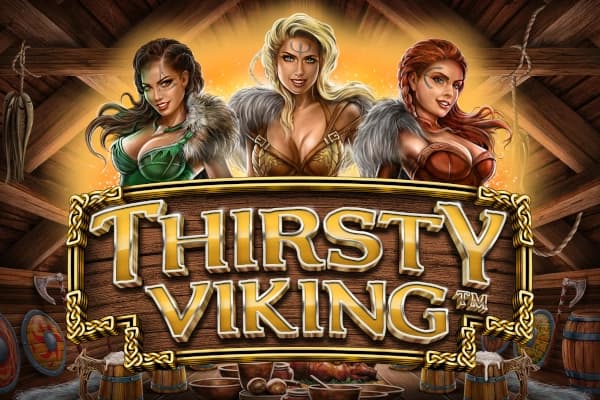 Thirsty Viking - Slot SYNOT Games | RTP N/A | MisterTopCasino