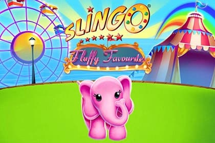 Slingo Fluffy Favourites - Slot Gaming Realms | RTP 95% | MisterTopCasino