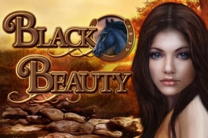 Black Beauty - Slot Gamomat | RTP N/A | MisterTopCasino