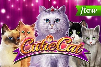 Cutie Cat - Slot Gamomat | RTP N/A | MisterTopCasino