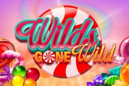Wilds Gone Wild - Slot Gamomat | RTP N/A | MisterTopCasino