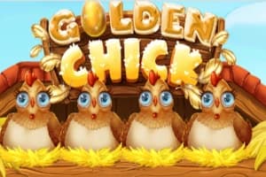 Golden Chick - Slot Gaming Corps | RTP N/A | MisterTopCasino