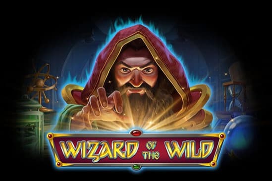Wizard of the Wild - Slot Platipus | RTP N/A | MisterTopCasino