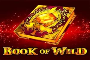 Book of Wild - Slot 1spin4win | RTP N/A | MisterTopCasino