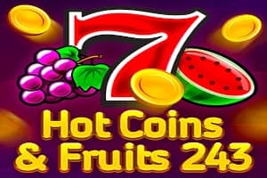 Hot Coins & Fruits 243 - Slot 1spin4win | RTP N/A | MisterTopCasino