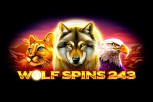 Wolf Spins 243 - Slot 1spin4win | RTP N/A | MisterTopCasino