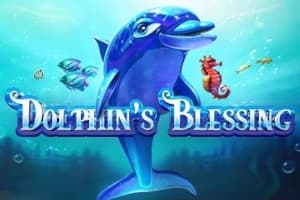 Dolphin's Blessing - Slot Barbara Bang | RTP N/A | MisterTopCasino
