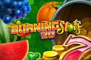 Burning Slots 20 - Slot BF Games | RTP N/A | MisterTopCasino