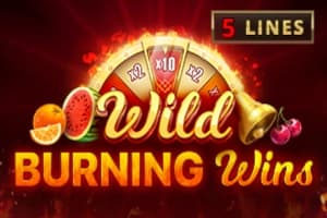 Wild Burning Wins - Slot Playson | RTP N/A | MisterTopCasino