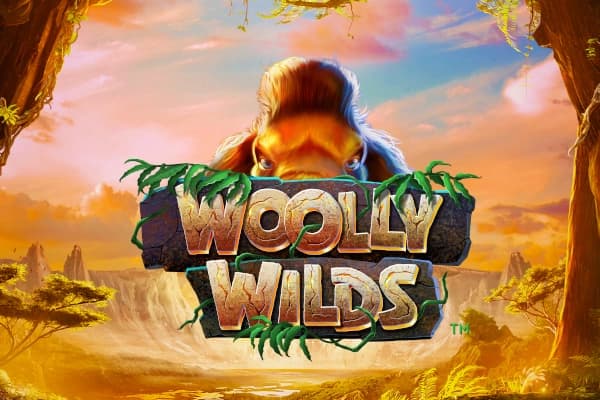 Wooly Wilds - Slot All41Studios | RTP N/A | MisterTopCasino