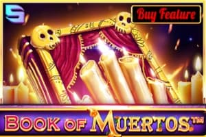 Book of Muertos - Slot Spinomenal | RTP N/A | MisterTopCasino