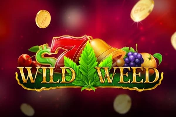 Wild Weed - Slot Pascal Gaming | RTP N/A | MisterTopCasino
