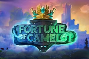 Fortune of Camelot - Slot Stakelogic | RTP N/A | MisterTopCasino