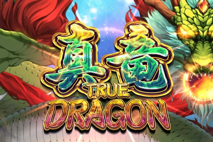 True Dragon - Slot Manna Play | RTP N/A | MisterTopCasino