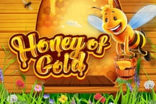 Honey of Gold - Slot 7777 gaming | RTP N/A | MisterTopCasino