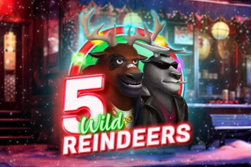 5 Wild Reindeers - Slot Spinberry | RTP N/A | MisterTopCasino