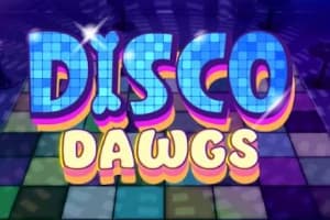 Disco Dawgs - Slot Light & Wonder | RTP 96% | MisterTopCasino