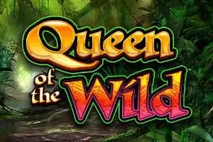 Queen of the Wild - Slot Light & Wonder | RTP N/A | MisterTopCasino