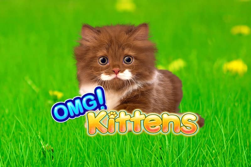 OMG Kittens - Slot Light & Wonder | RTP N/A | MisterTopCasino