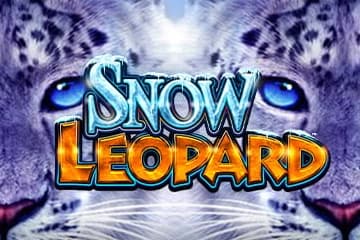 Snow Leopard - Slot Light & Wonder | RTP 94.2% | MisterTopCasino