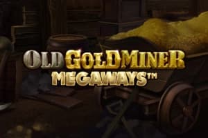 Old Gold Miner Megaways - Slot Pragmatic Play | RTP N/A | MisterTopCasino