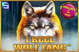 1 Reel Wolf Fang - Slot Spinomenal | RTP N/A | MisterTopCasino