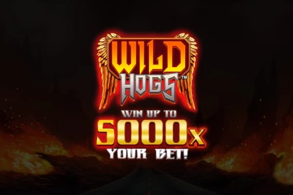 Wild Hogs - Slot Stakelogic | RTP N/A | MisterTopCasino