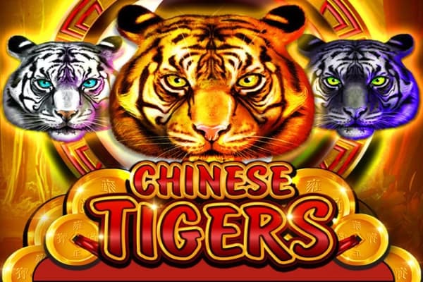 Chinese Tigers - Slot Platipus | RTP N/A | MisterTopCasino