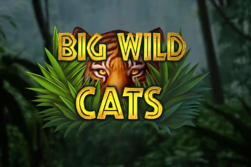 Big Wild Cats - Slot Leap Gaming | RTP N/A | MisterTopCasino